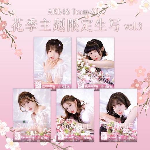 AKB48 Team SH 花季主题限定生写vol.3 商品图0