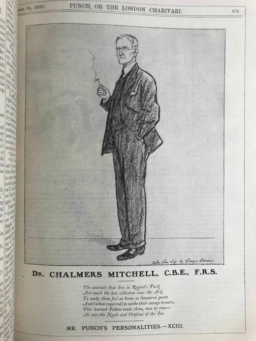 1929年1-6月 英国讽刺漫画杂志《笨拙》 数百幅插图 漆布精装16开 商品图11