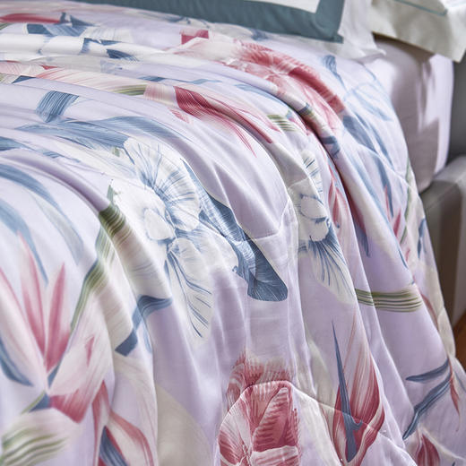 富安娜莱赛尔印花水洗蚕丝夏被/花叶浮绘 商品图1