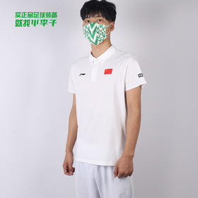 国旗款休闲POLO短袖APLS2292