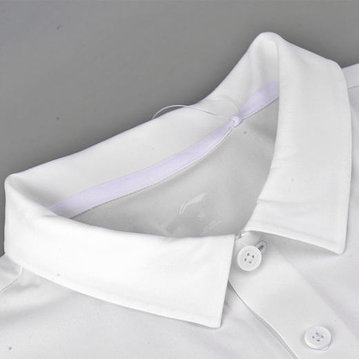 国旗款休闲POLO短袖APLS2292 商品图1