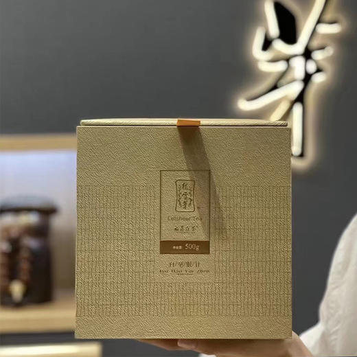 白茶丨绿雪芽 2021年 正方罐 白毫银针 500g 商品图0