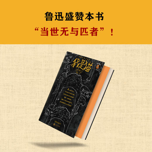 我是猫（一针见血，针针见血，戳破人间荒唐事！） 商品图6