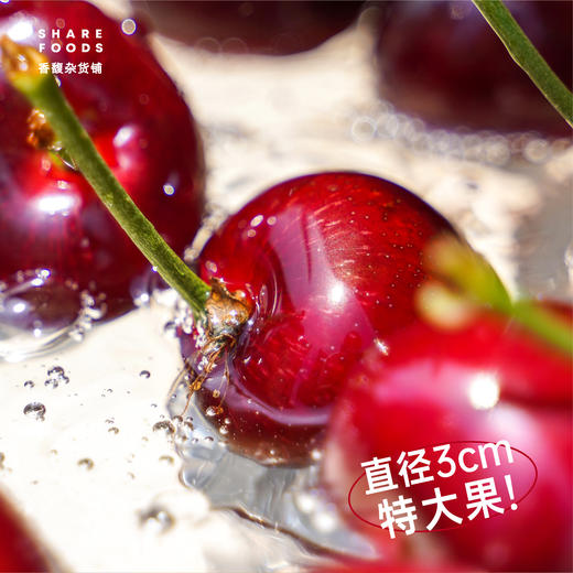 【新鲜水果】壹藤匠大连樱桃 商品图1
