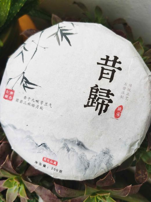 临沧班章，三杰之首——2022年昔归头春古树挑采高定私藏200g 商品图0
