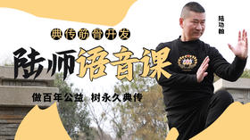 440-典传筋骨开发之武学分享——“横隔膜”在功夫中的作用？