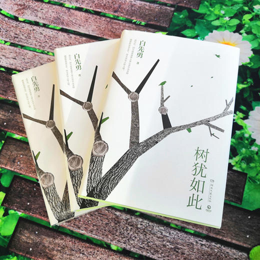 树犹如此 2022新版 商品图2