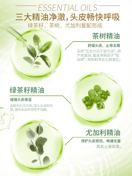 舒蕾绿茶籽控油去屑洗发露500ml 商品图2