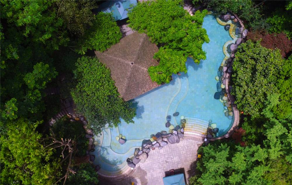 双11大促❗【青城豪生国际酒店】周末不加价
🏞️青城山脚五星级度假酒店
♨️睡进天然氧吧，畅泡森林温泉