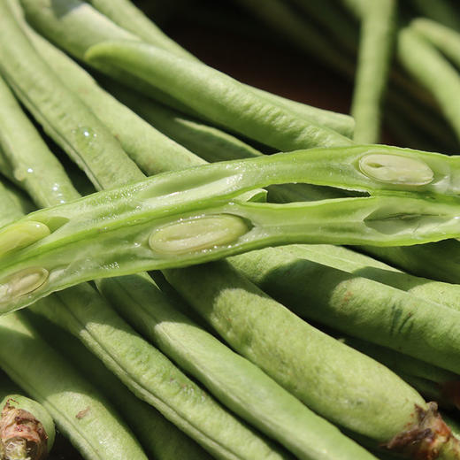 云南耿马孟定露天长豆角！豆中上品，无筋脆嫩 商品图5