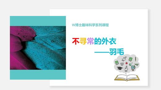 【武汉】不寻常的羽衣 商品图0