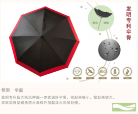 珍妮花伸缩式高尔夫直骨伞(JZSS003)