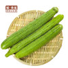 丝瓜500g/份【GYZH】 商品缩略图0