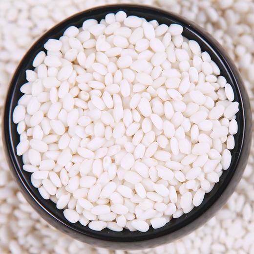 五常糯米（江米）500g/5kg/25kg 江米酒酿包粽子米糯米 商品图1