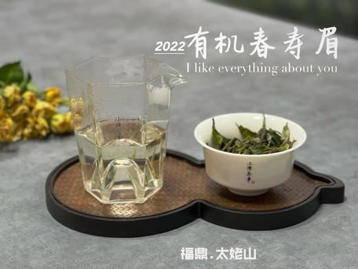 2022有机春寿眉，不是白牡丹却胜似白牡丹（1斤收藏装） 商品图5