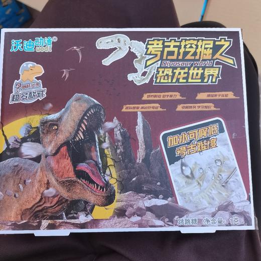 考古挖掘之恐龙世界跳跳糖1克 商品图0