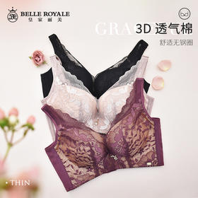 【经典款】皇家丽美内衣女聚拢文胸收副乳中厚款无钢圈文胸WWQ005-3