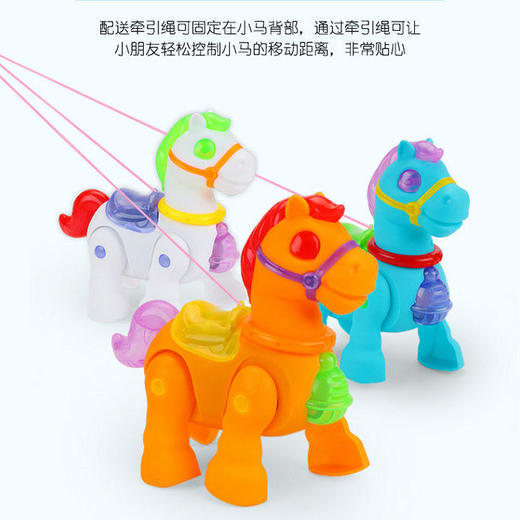 抖音爆款 电动牵绳玩具电动牵绳小猪电动牵绳恐龙恐龙玩具小马地摊玩具 商品图3