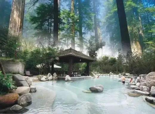 双11大促❗【青城豪生国际酒店】周末不加价
🏞️青城山脚五星级度假酒店
♨️睡进天然氧吧，畅泡森林温泉 商品图3