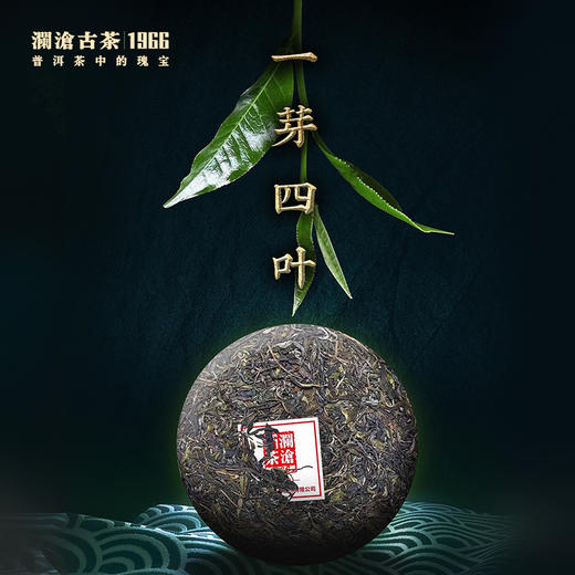 【拍一提更优惠】澜沧古茶2022年景迈古粗橡筋饼普洱茶生茶大饼357g 商品图2