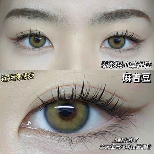 pipicon 麻吉豆 直径14.2mm 着色13.1mm 商品图2