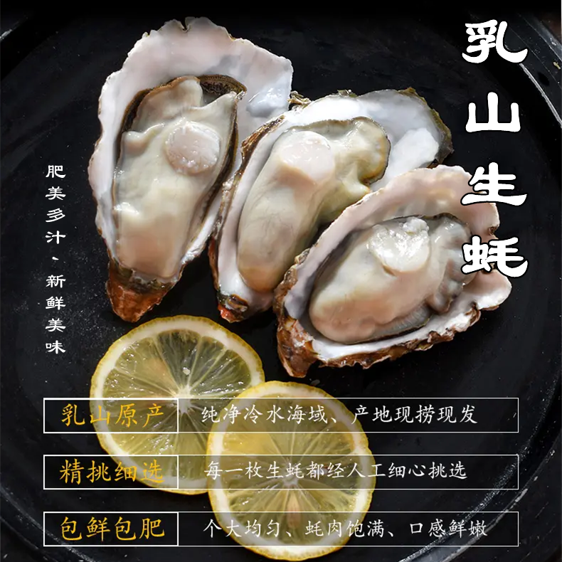 乳山生蚝，4斤55元。净重 实图 空运保鲜 10点前下单当天送达，三倍体