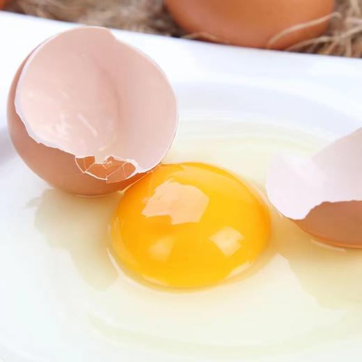 桂青源谷物蛋（盒） 商品图1