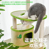 端阳藤编猫爬架-B 商品缩略图2