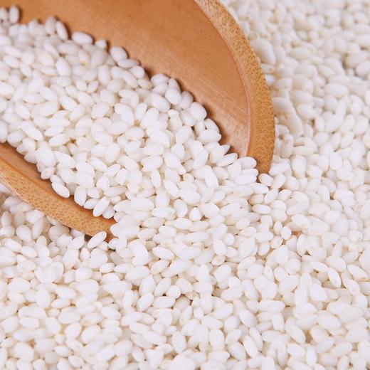 五常糯米（江米）500g/5kg/25kg 江米酒酿包粽子米糯米 商品图0