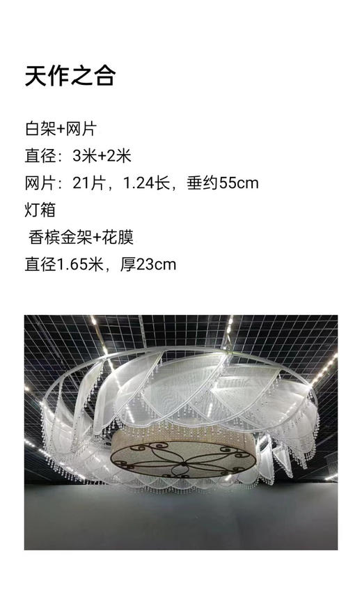 天作之合吊顶（运费自理） 商品图0