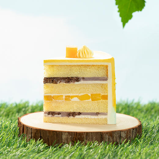 【童梦游乐园】巧克力麦脆搭配香甜芒果，幸福芋泥相遇，开启童梦奇缘（石家庄） 商品图4