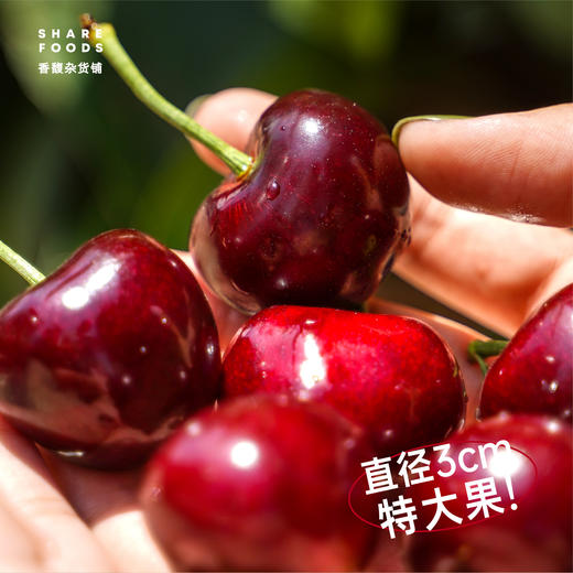 【新鲜水果】壹藤匠大连樱桃 商品图2