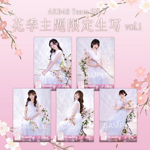 AKB48 Team SH 花季主题限定生写vol.1 商品图0