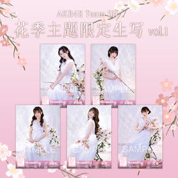 AKB48 Team SH 花季主题限定生写vol.1