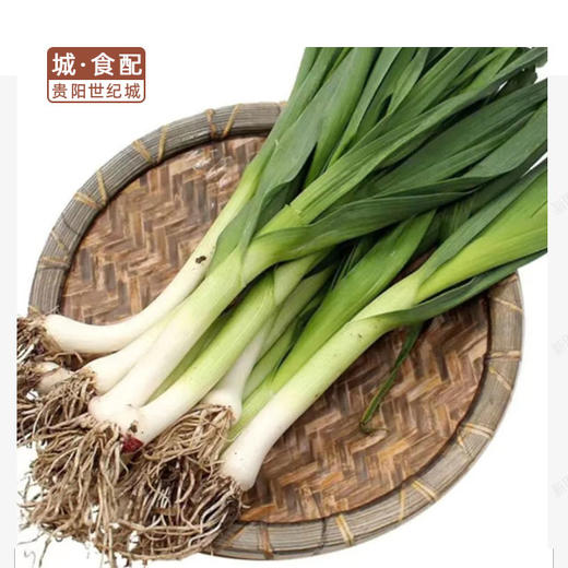 白蒜苗250g/份【GYZH】 商品图0
