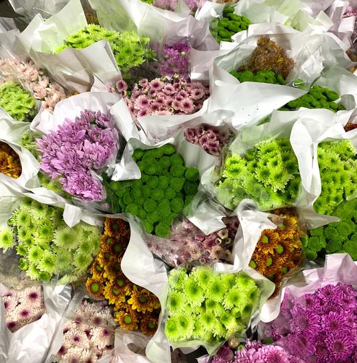 0tj每日特价超美小雏菊配色10枝扎配色价格超实惠