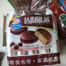 达利园巧克力味涂饰蛋类芯饼230克