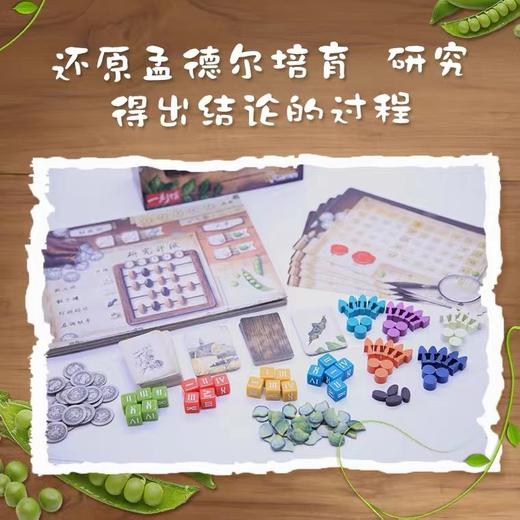 一刻馆生物学画风《基因花园》 孟德尔豌豆实验基因研究  策略规划 商品图1