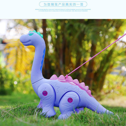 抖音爆款 电动牵绳玩具电动牵绳小猪电动牵绳恐龙恐龙玩具小马地摊玩具 商品图1