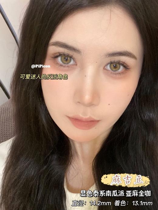 pipicon 麻吉豆 直径14.2mm 着色13.1mm 商品图0