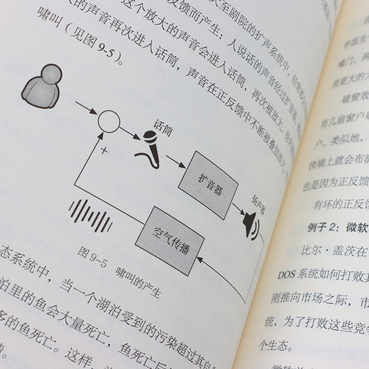 心中有数 生活中的数学思维 商品图7