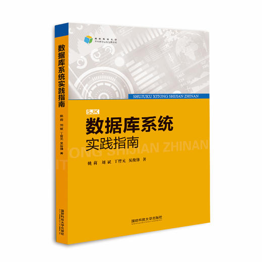 数据库系统实践指南 商品图0