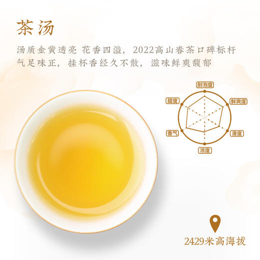 一球2022春茶版纳之巅普古树纯料普洱生茶饼 商品图3