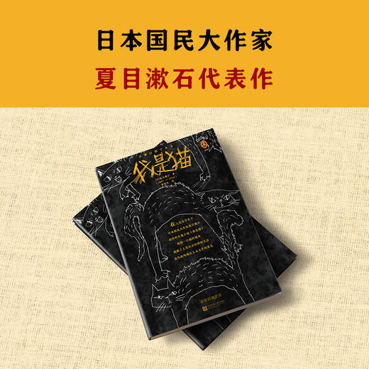 我是猫（一针见血，针针见血，戳破人间荒唐事！） 商品图2