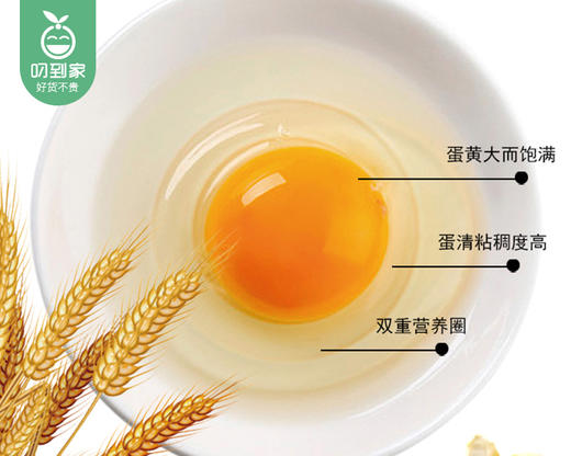 【叼选】光阳五谷杂粮鸡蛋（约1.35kg/盒 30枚 单枚约45g）生产日期：12月17日 保质期：冷藏30天 商品图2