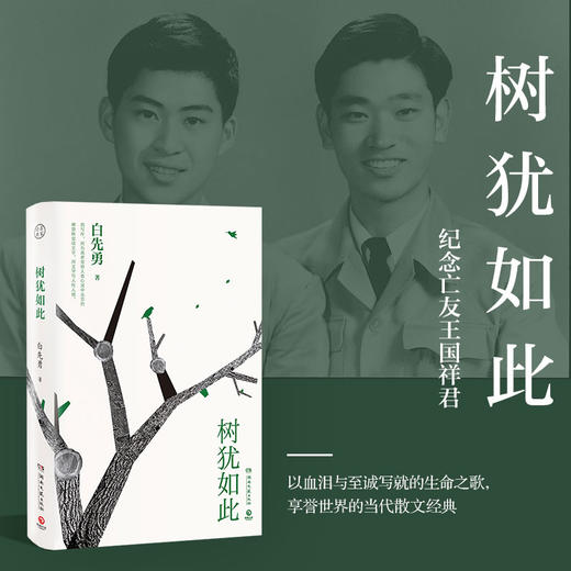 树犹如此 2022新版 商品图0