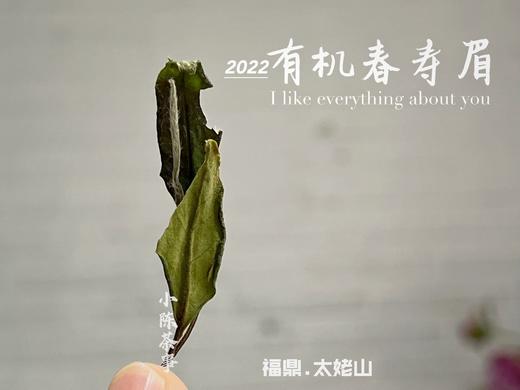 2022有机春寿眉，不是白牡丹却胜似白牡丹（1斤收藏装） 商品图3
