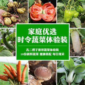 【爆款推荐】密农人家蔬菜体验装  新鲜现摘健康搭配10种蔬菜