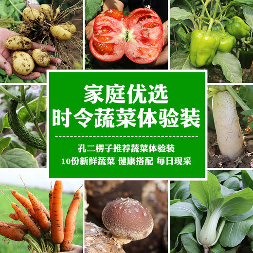 【爆款推荐】密农人家蔬菜体验装  新鲜现摘健康搭配10种蔬菜 商品图0