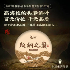 一球2022春茶版纳之巅普古树纯料普洱生茶饼